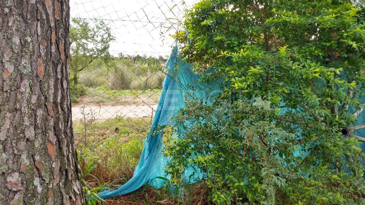 Los delincuentes ingresaron por el alambrado de la vivienda.