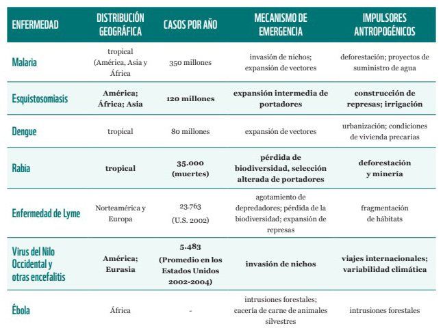 Las enfermedades emergentes y los mecanismos de impacto potenciales de las actividades humanas relacionadas con cambios ecológicos.