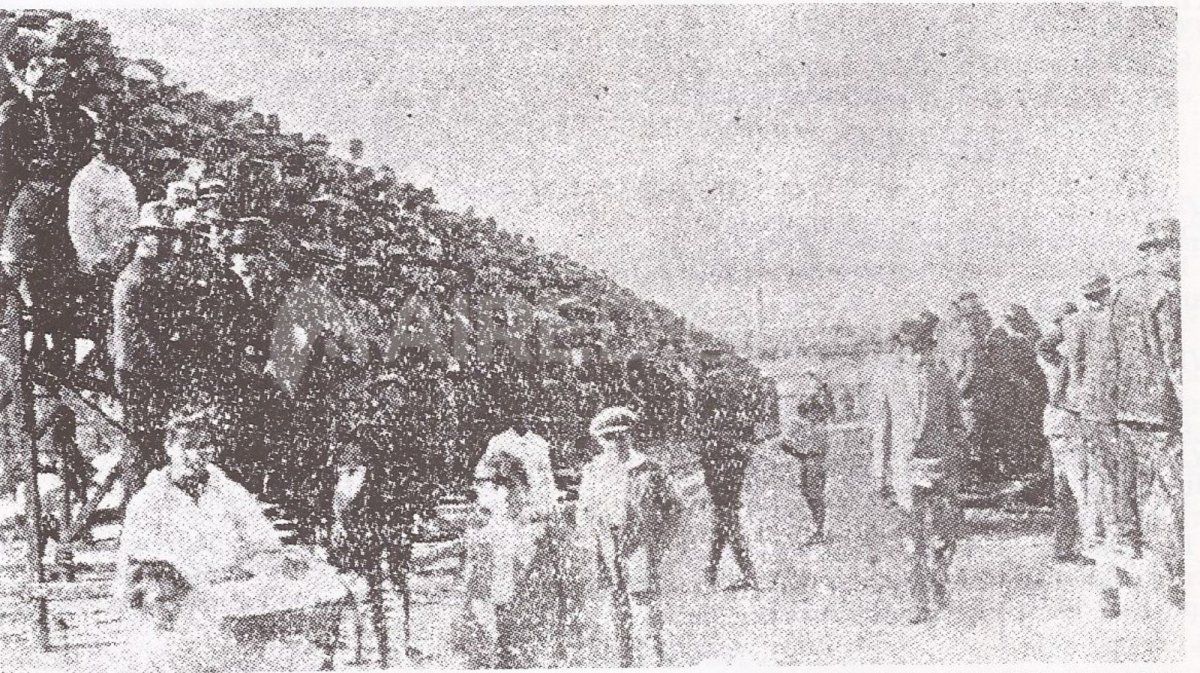 Viejo estadio de Colón, ubicado en inmediaciones de la vieja Estación Mitre.