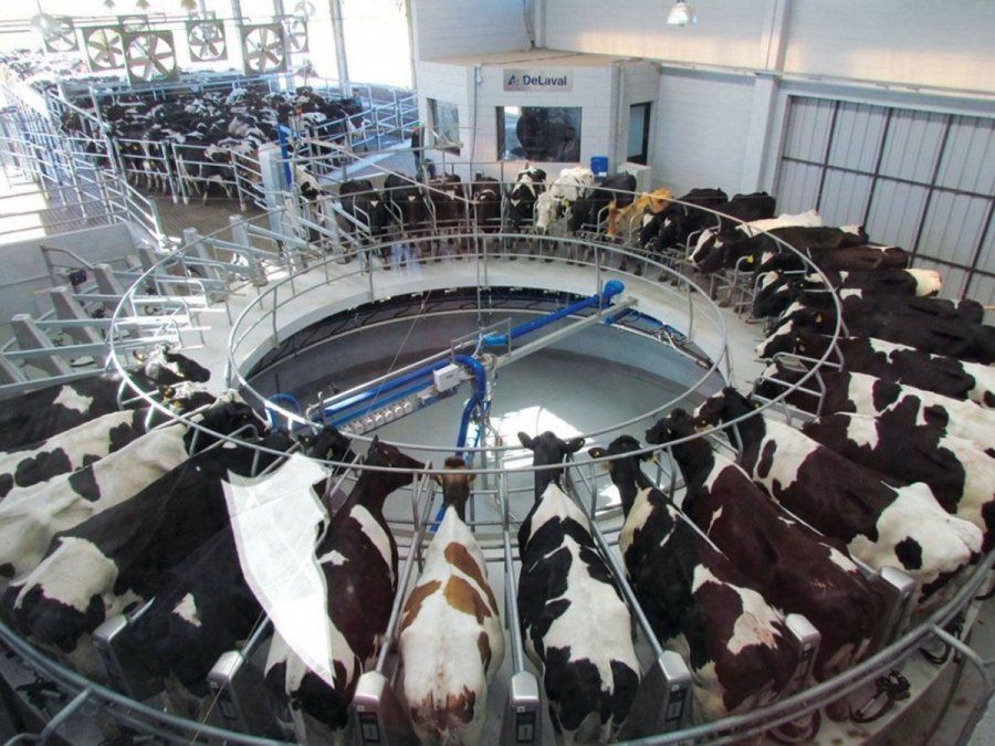 Estiman que la baja en las ventas globales de leche por la pandemia provocará un sobrestock de unos 1.000 millones de litros.