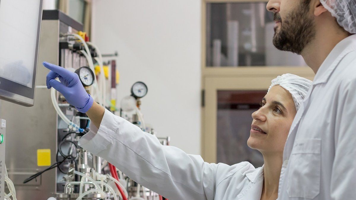 El proyecto de los investigadores locales fue seleccionada entre 900 propuestas de todo el país.