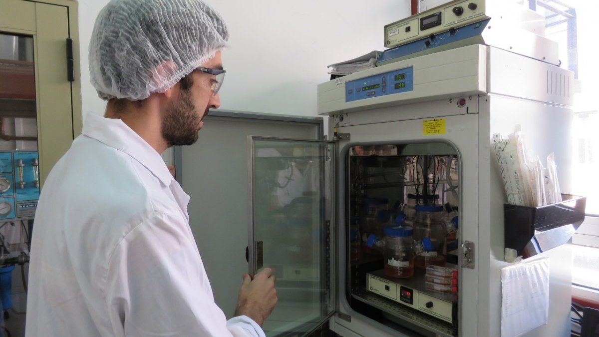 Para producir las vacunas bioseguras no se emplean virus, con lo que se mitiga el riesgo de infección.