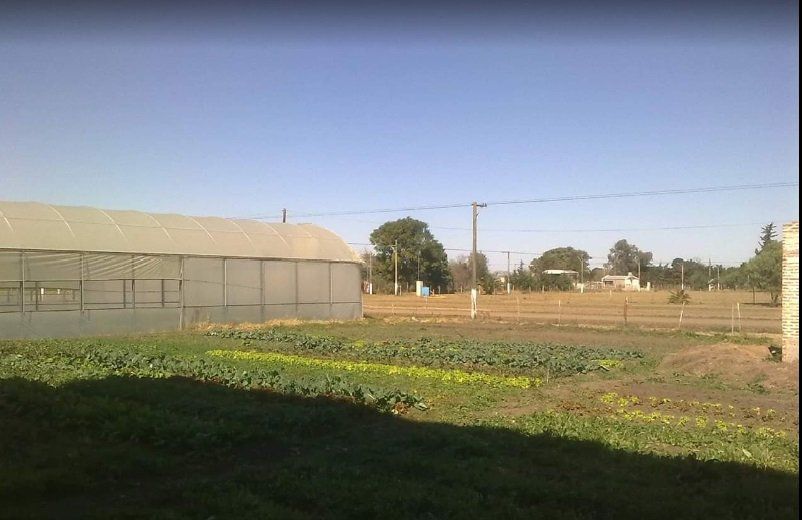 La huerta de la EFA de la localidad de San Martín Norte