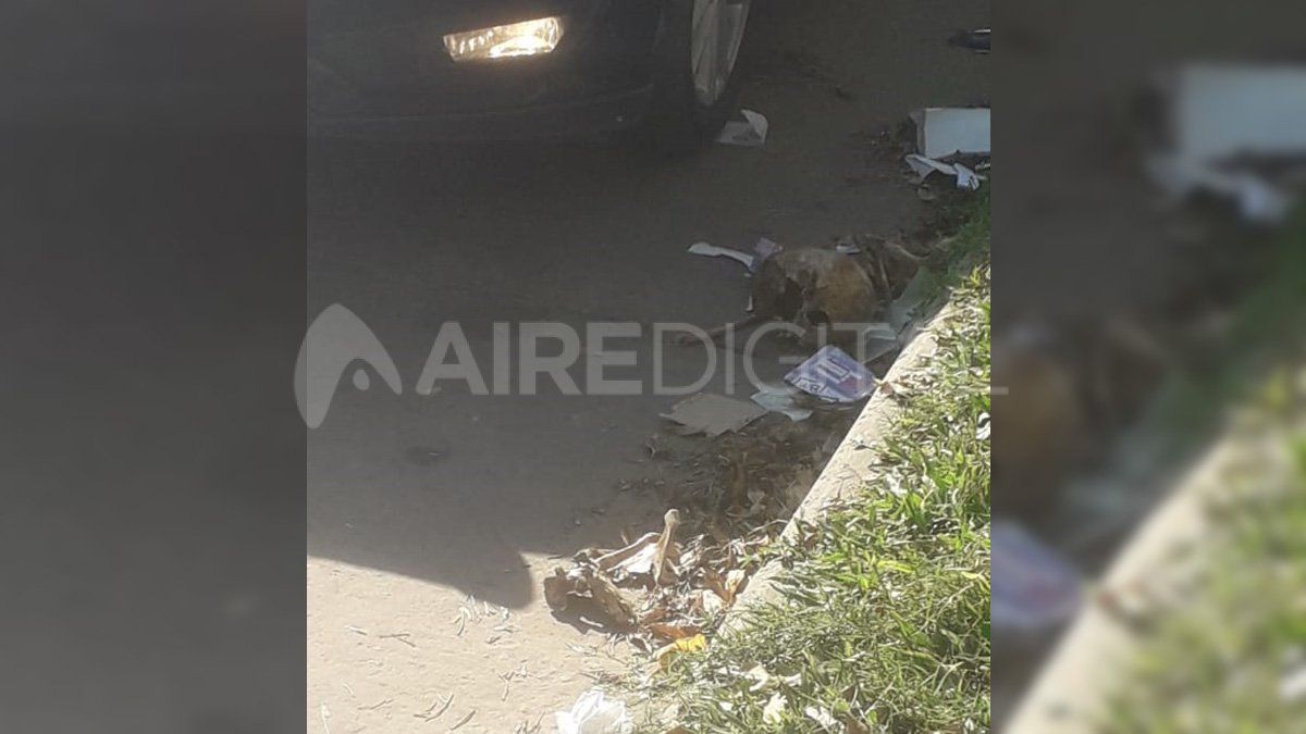 Restos óseos hallados en el sur de la ciudad.