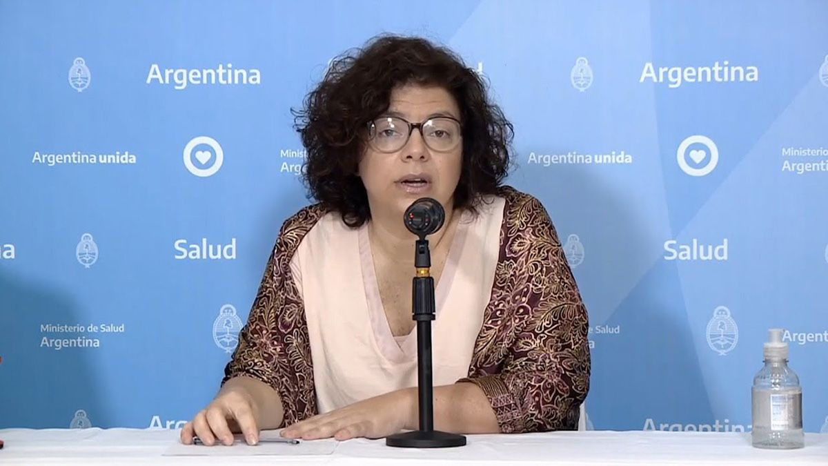 La secretaria de Acceso a la Salud de la Nación, Carla Vizzotti, pidió que