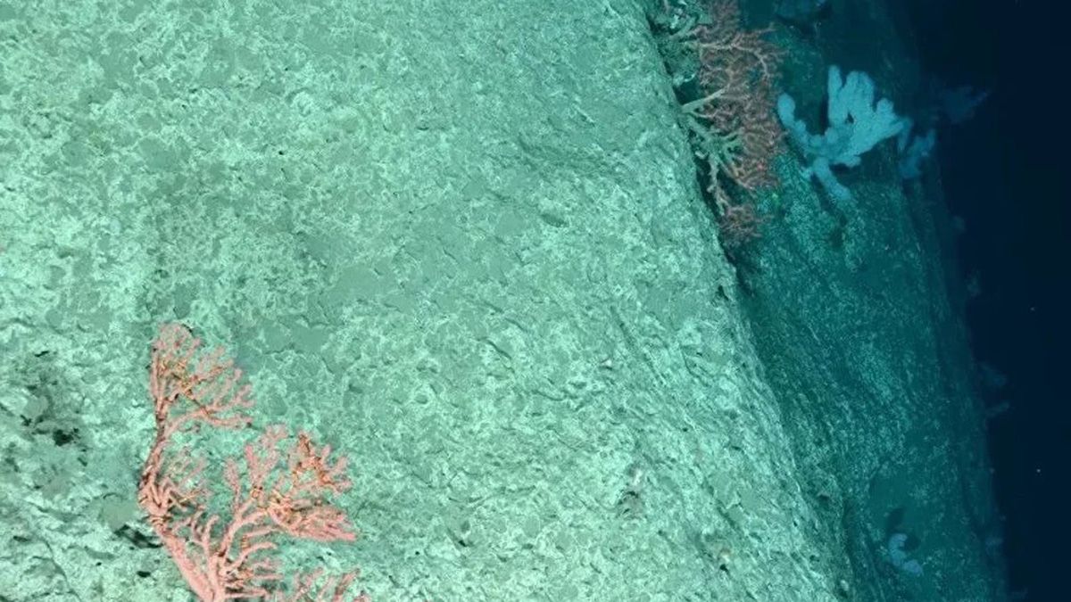 La Fosa de las Marianas es el punto más profundo de la Tierra, con poco más de 11 mil metros.