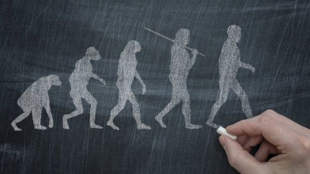 El caso de las hormigas tortuga muestran que la evolución puede ser un proceso más complejo del que pensamos.