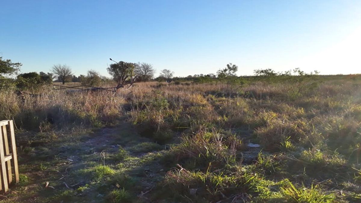 El lugar donde hallaron a Diego Román.