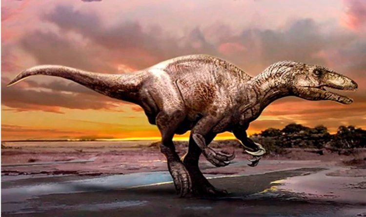 Megaraptor- la especie cuyos restos fueron encontrados en Santa Cruz