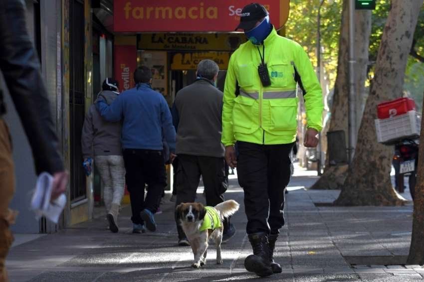 Firulais patrulla todos los días | Orlando Pelichotti / Los Andes