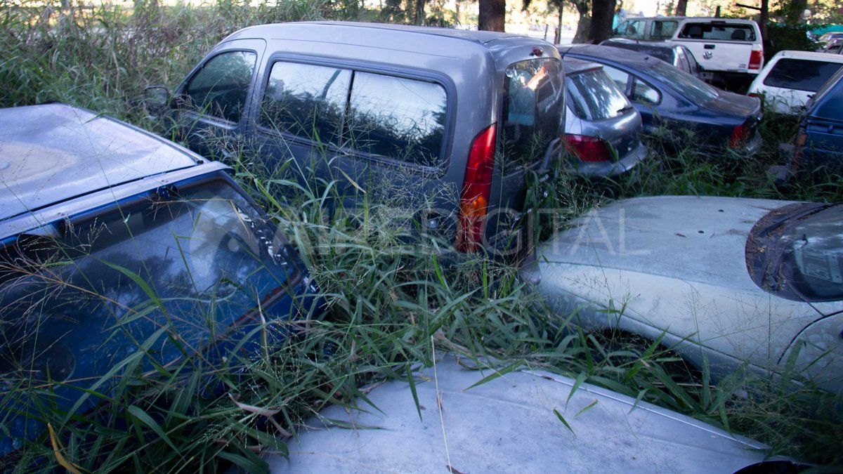 Muchos de los vehículos eran de narcotraficantes de la historia reciente que actualmente se encuentran en prisión.