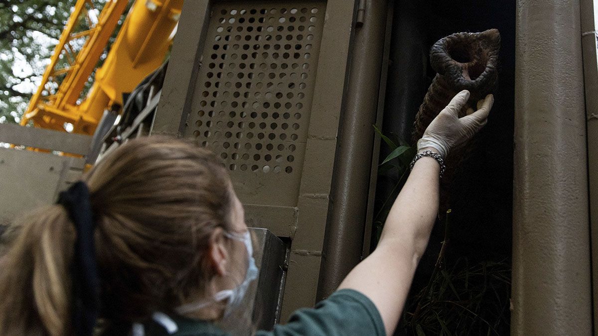 Mara y una de sus cuidadoras del Ecoparque se despiden.