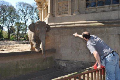 César y Mara se reconocieron a primera vista en el Zoológico de Buenos Aires, hoy reconvertido en EcoParque.