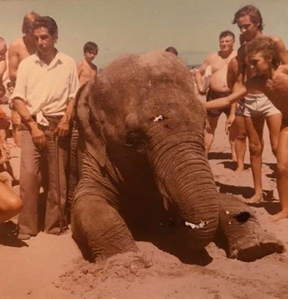 Mara entre los años 1977 y 1980, cuando tenía entre dos y cuatro años, en una playa de Necochea donde fue exhibida para promocionar el circo del que era propiedad.
