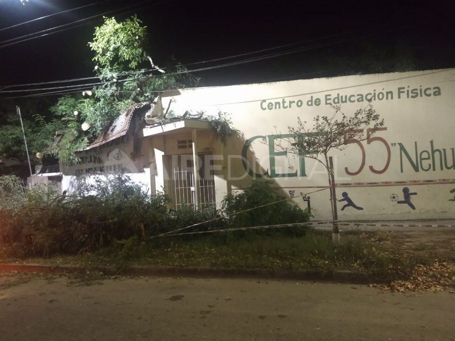 El árbol dañó también parte del edificio donde funciona el Centro de Educación Física 55.