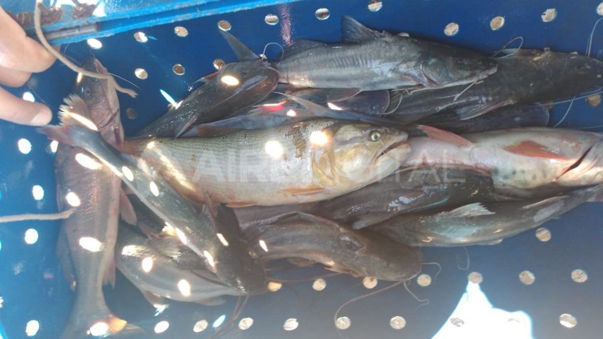 También se realizaron operativos por pesca prohibida