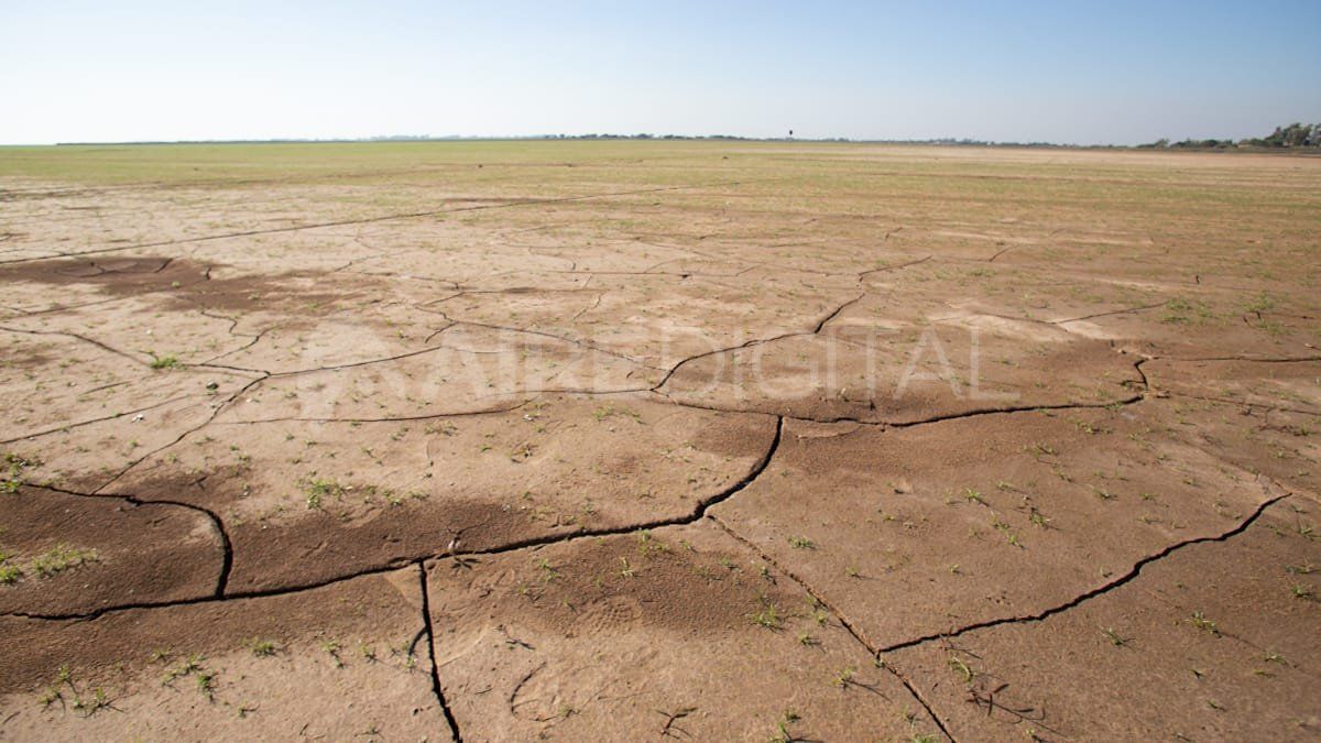 El lecho de la laguna parece un paisaje desértico.