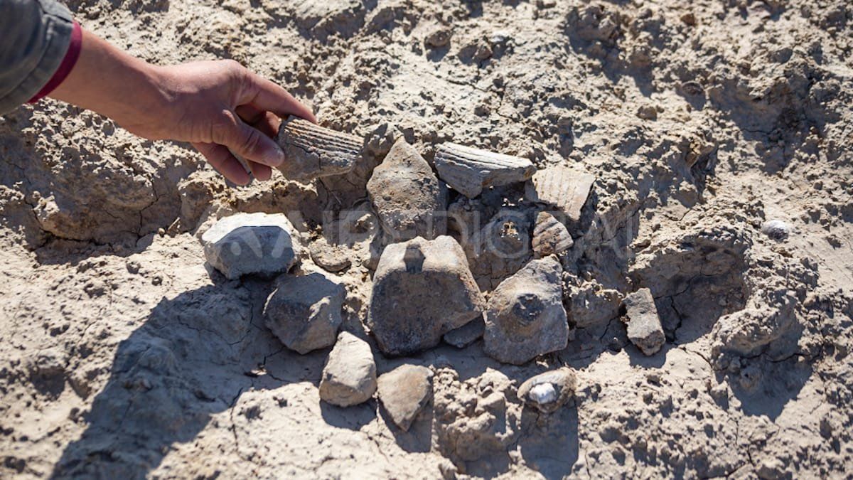 Los "saltos" que desnudó la bajante en la Laguna Coronda 4 La bajante dejó al desnudo restos de vasijas en el lecho de la laguna.