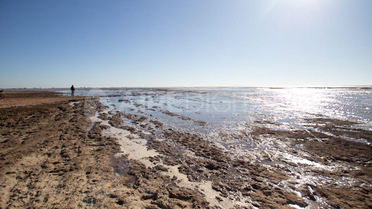 Los "saltos" que desnudó la bajante en la Laguna Coronda 2 La bajante dejó al descubierto el lecho de la Laguna Coronda.