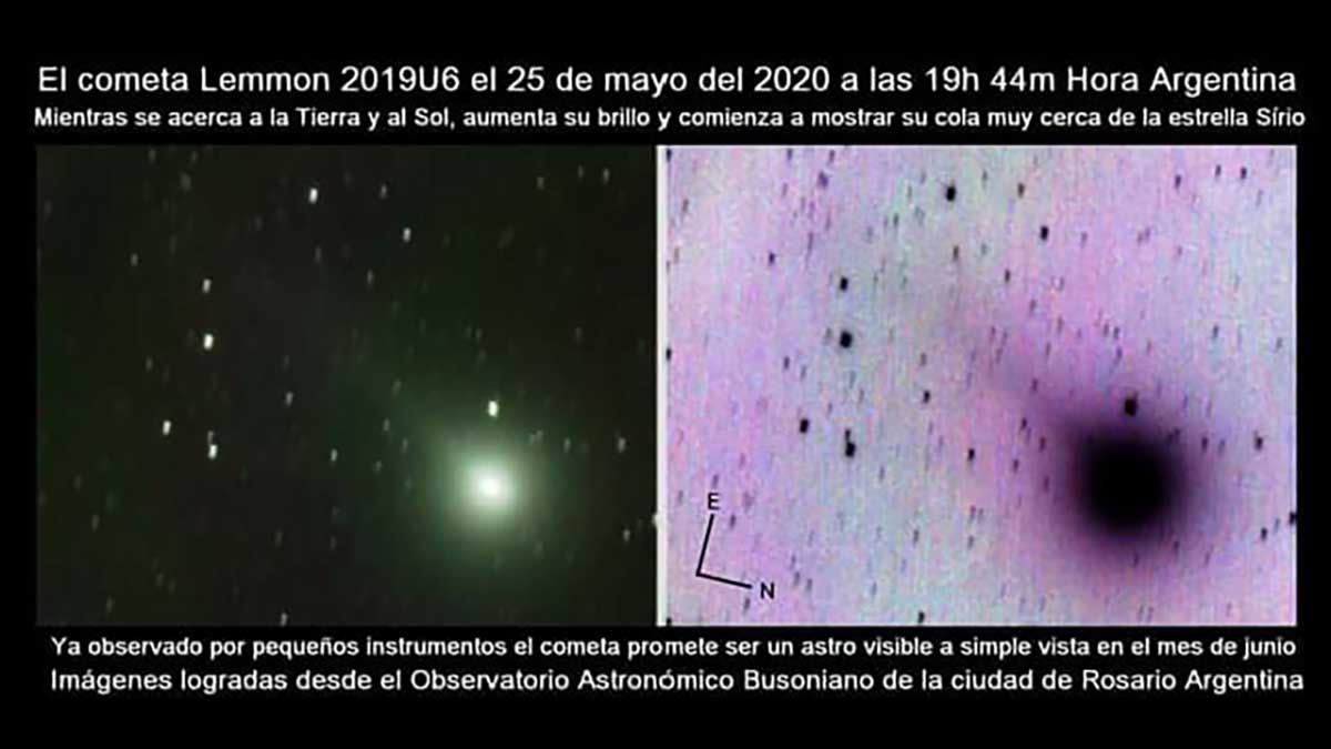 Foto del cometa Lemmon desde Santa Fe, el 25 de mayo del 2020.