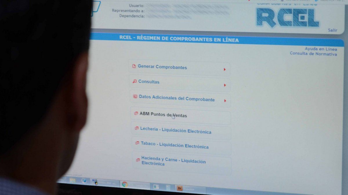 La evasión se producía a través de facturas electrónicas que, justamente, fueron pensadas por la Afip para evitar estos delitos.