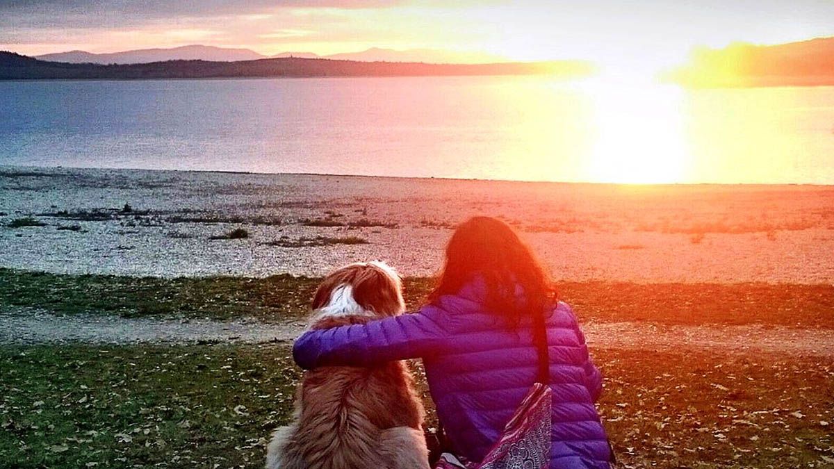 Horóscopo: estos son los cuatro signos más sencillos del zodiaco