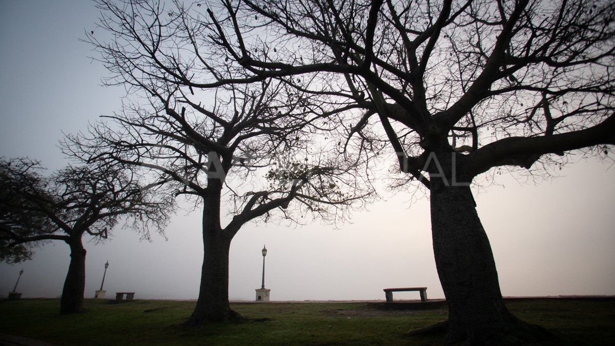 La niebla se adueñó de Santa Fe La niebla se adueñó de Santa Fe