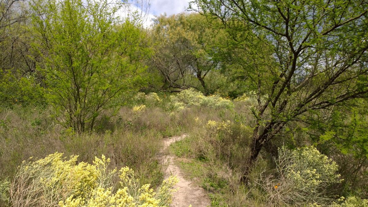 Mediante proyectos pretenden sumar la reserva natural de Villa Gobernador Gálvez al sistema de áreas naturales protegidas.