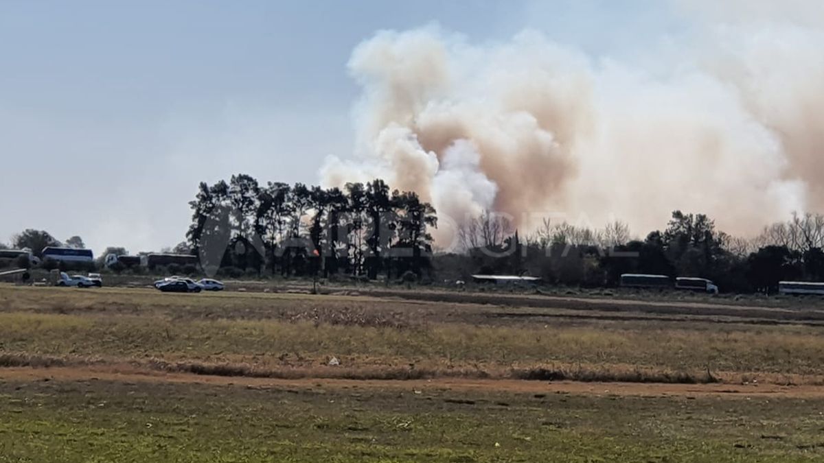 Quema de pastizales entre Alvear y Rosario.