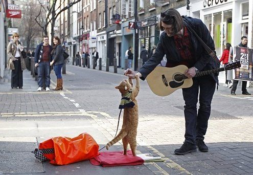 James Bowen y su gato Bob en una calle de Londres, el 13 de marzo de 2012