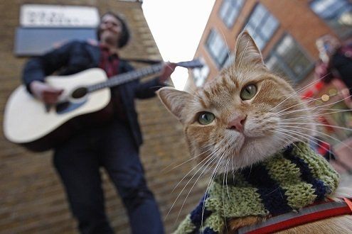 James Bowen y su gato Bob en una calle de Londres, el 13 de marzo de 2012