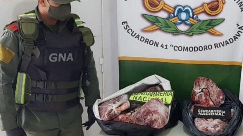 Carne de guanaco interceptada por Gendarmería Nacional.
