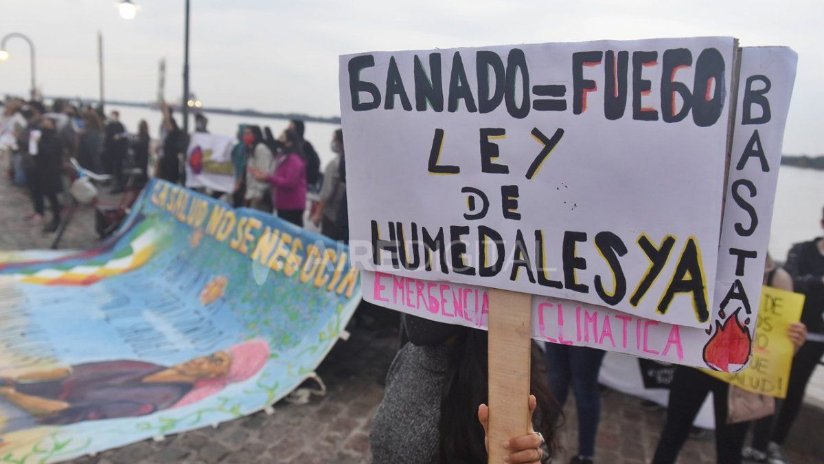 Los ambientalistas plantean que "el reconocimiento de los humedales como lugares extremadamente valiosos, no solo para una biodiversidad inmensa y poco conocida, sino para la salud humana".