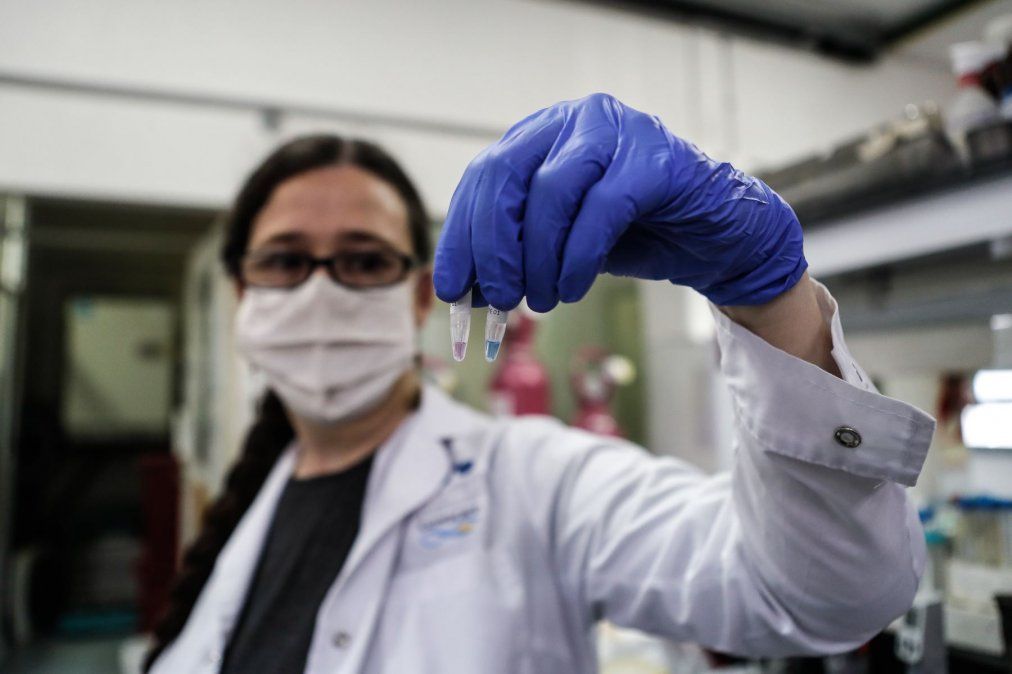 Los científicos argentinos trabajaron a contrarreloj para lograr este test nacional que se distribuye de manera gratuita.