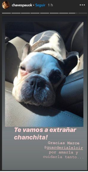 Captura de instagram