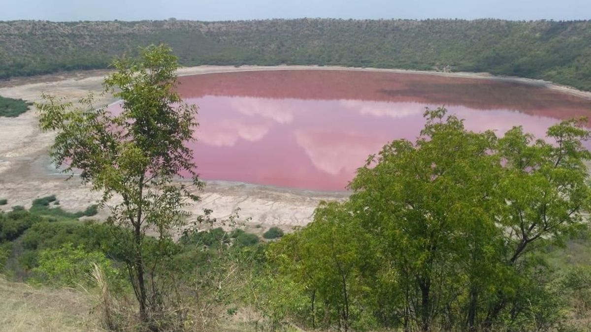 Durante la pandemia, el lago Lonar se volvió de color rojo intenso.