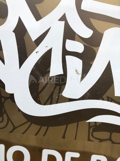 Esta madrugada, los ladrones intentaron ingresar primero por los ventanales ploteados al costado del local