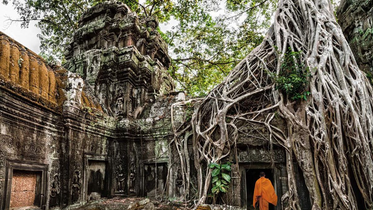 Árboles y raíces tomaron el templo de Ta Prohm en Camboya.