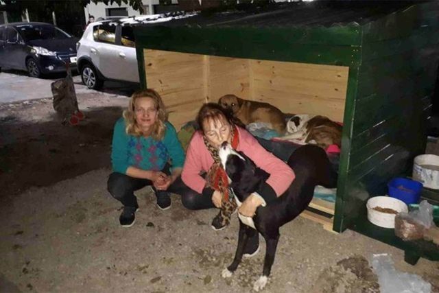 Las tres mujeres además les llevan alimento y bebida todos los días. De esta forma, más perros callejeros empezaron a vivir en esta casita. Desliza a la izquierda para ver más fotos. (Foto: Elenice Rozane)