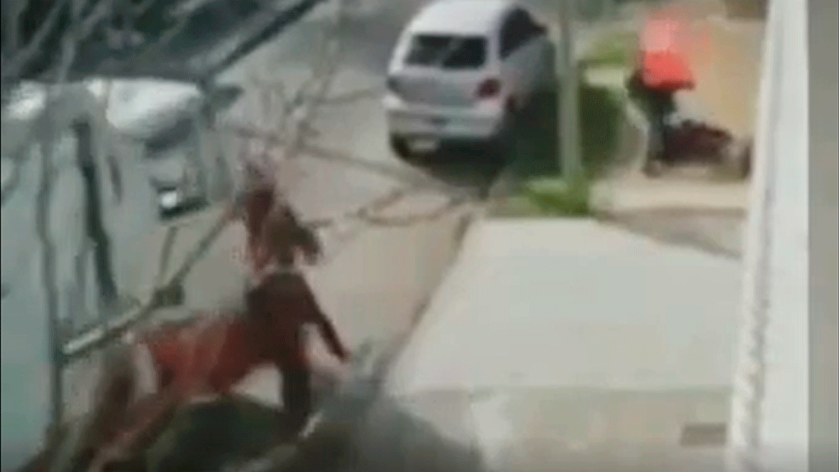 El video del sodero que embistió con su camión a un motochorro en Villa Bosch