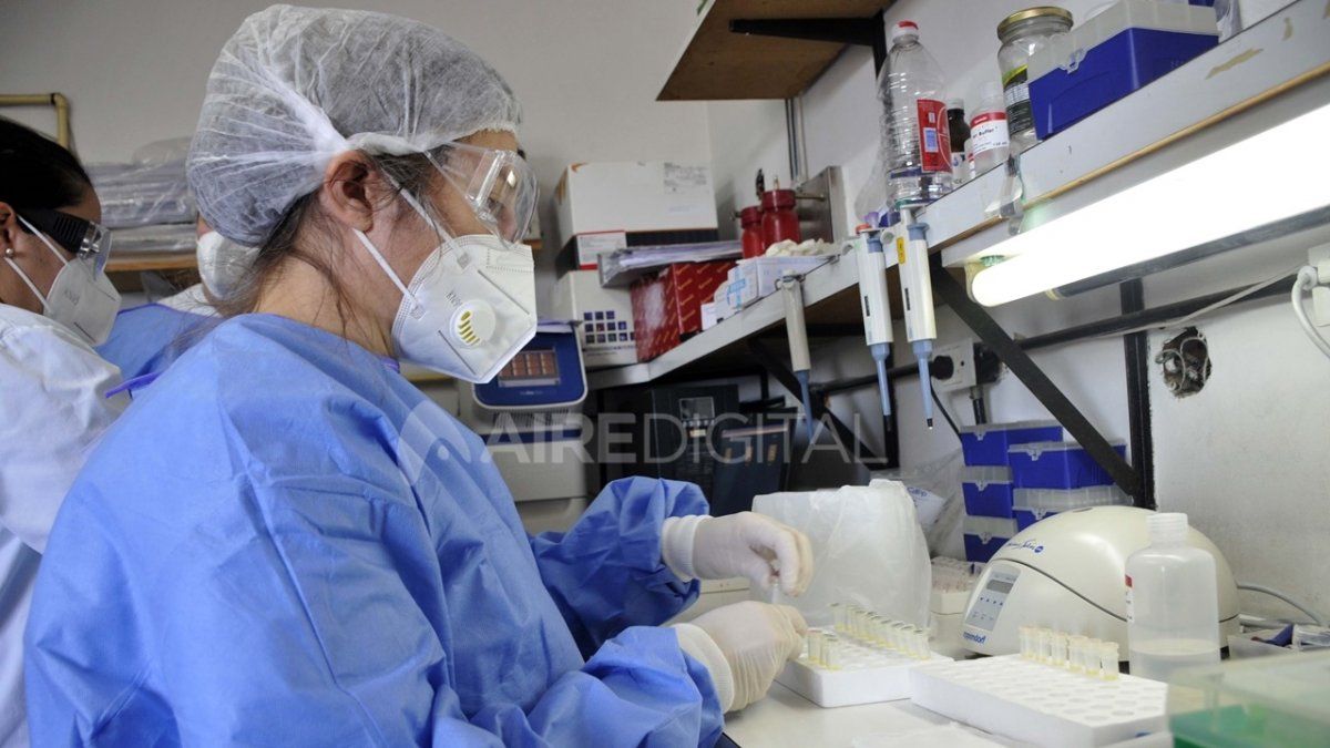 Así trabajan en uno de los 32 laboratorios de la provincia de Buenos Aires que analizan muestras en busca de coronavirus.