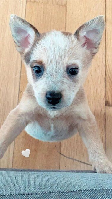 Captura de instagram