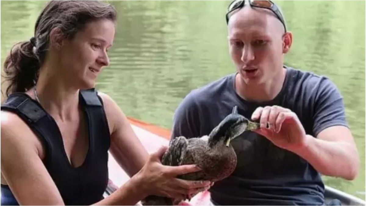 Ocurrió en República Checa. Sobrevivió con una flecha en la cabeza y la imagen sorprende a todos.