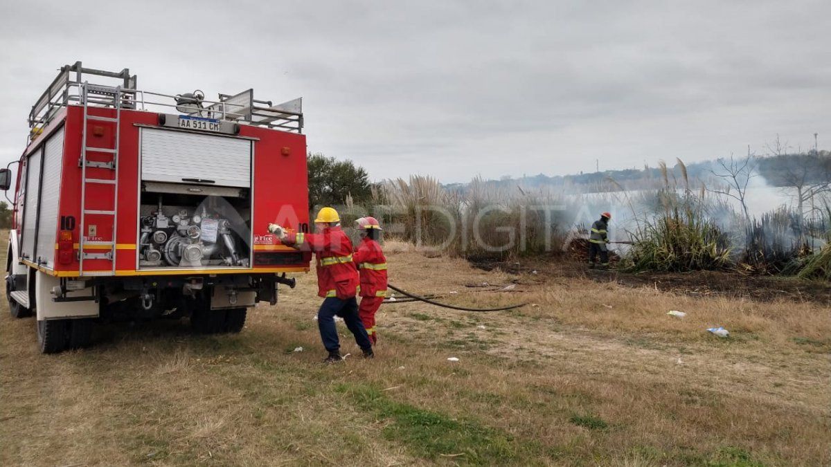 Bomberos Voluntarios de Las Flores evitaron que las llamas continúen propagándose. 
