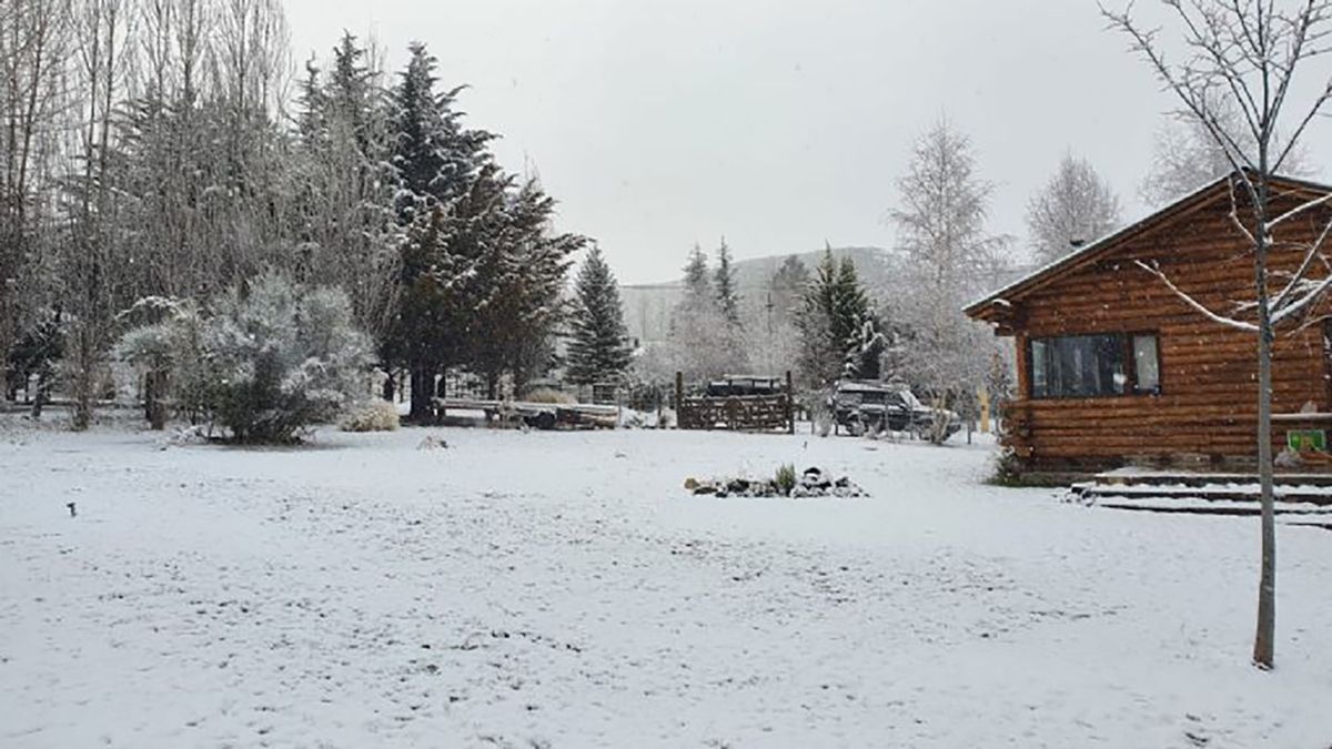 Imágenes de la nevada en Mendoza.