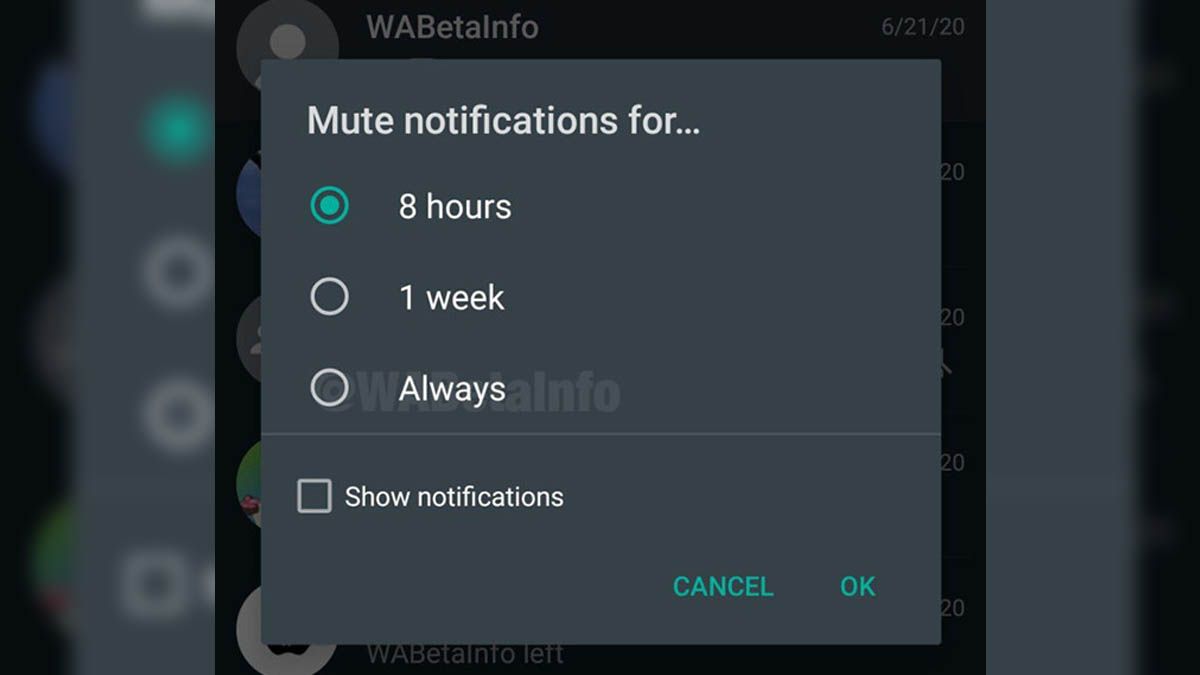 Silenciar desde WhatsApp