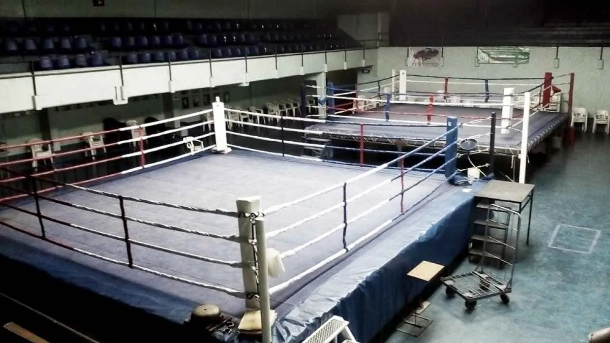 La Federación Argentina de Box (FAB) anunció que se aprobó el protocolo para que vuelvan los entrenamientos y las peleas
