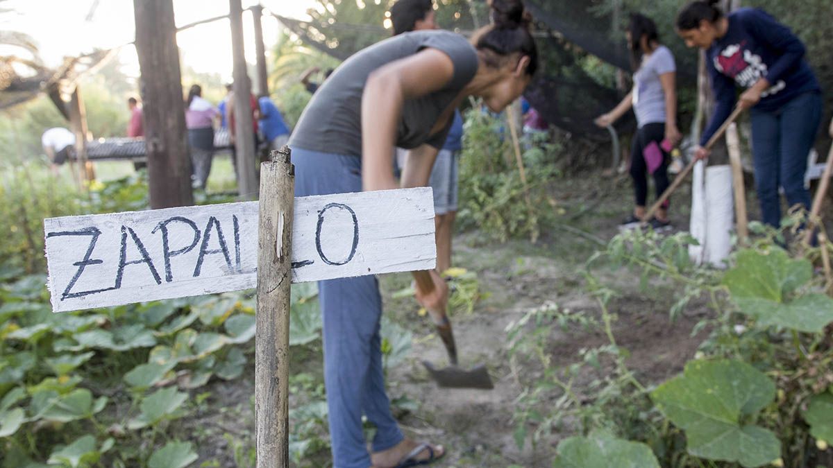 Las huertas comunitarias proporcionan alimentos seguros para estas comunidades.