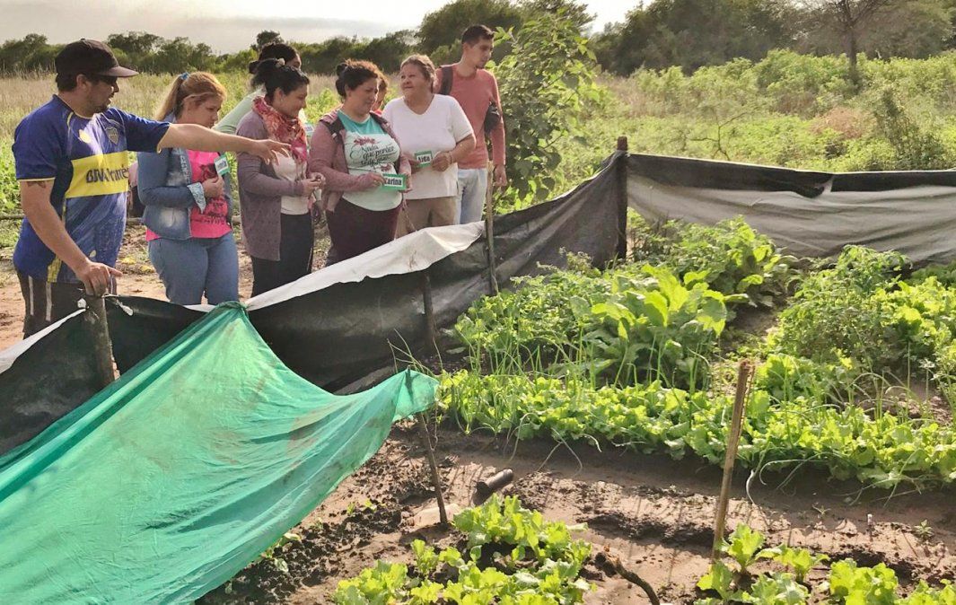 En las huertas, los pobladores locales aprenden a producir, cuidar y cosechar sus propios alimentos.