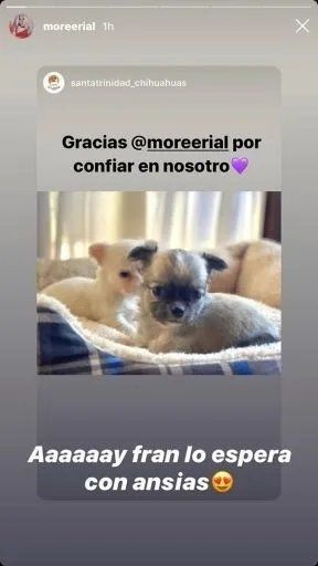 Captura de instagram